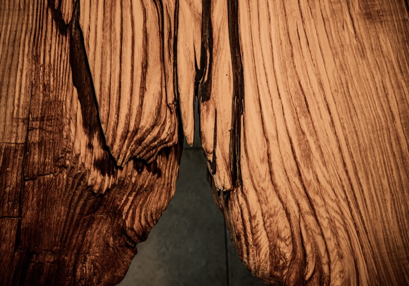 106%20 %20Z63_4595 copyright by ingo rack _skaliert