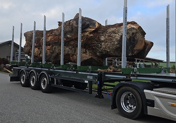 6cb57313 b24d 4c39 a68c 9395664696a9_skaliert